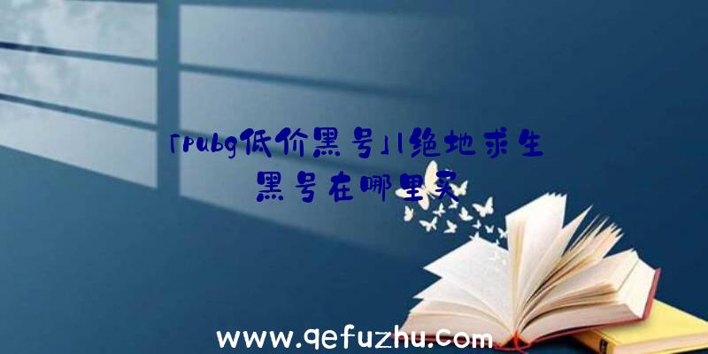 「pubg低价黑号」|绝地求生黑号在哪里买